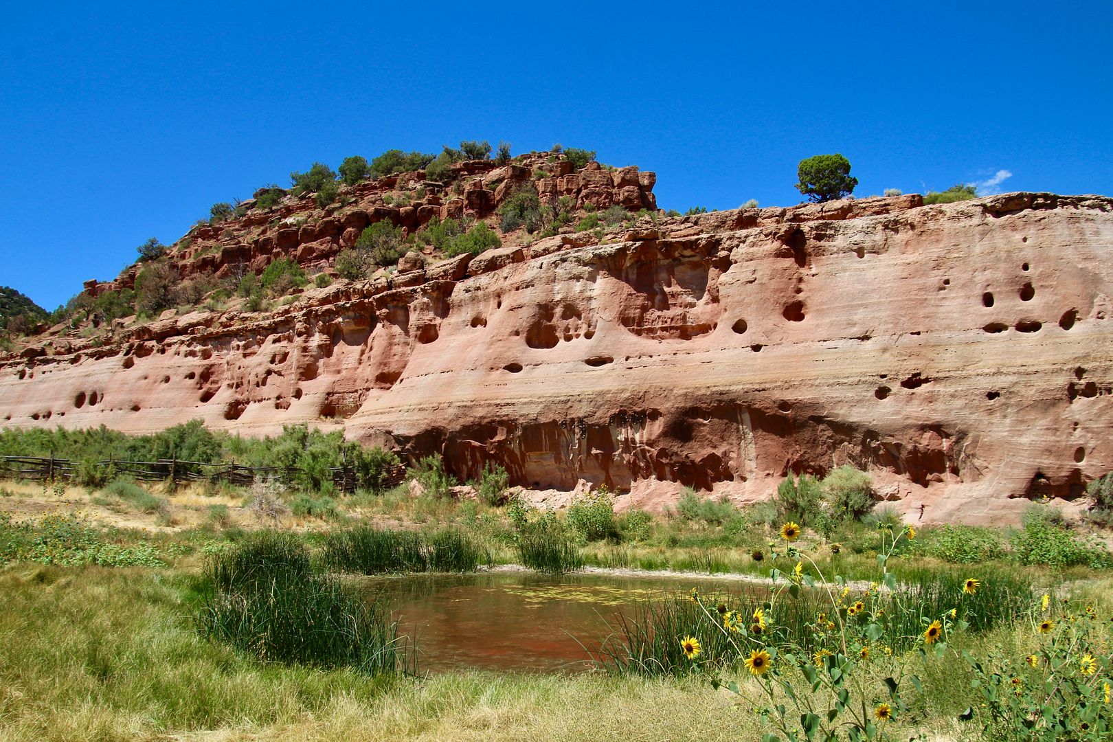 Winds of Destiny RVLife Sights along Montezuma Canyon Road, 8/31/2019
